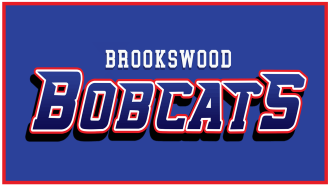 bobcats_tv1