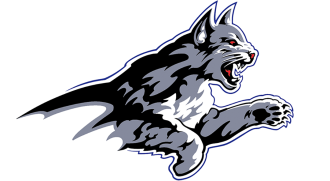 bobcats
